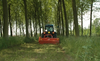 Maschio Tigre mulchmaskin bild