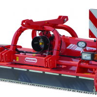 Maschio Bisonte